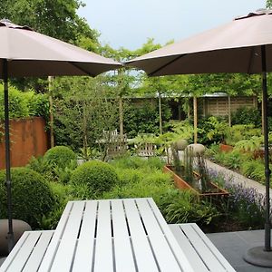 Bed And Garden